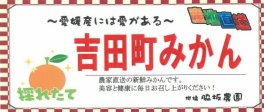 Wakisaka_YoshidaMikan_1c.jpg
